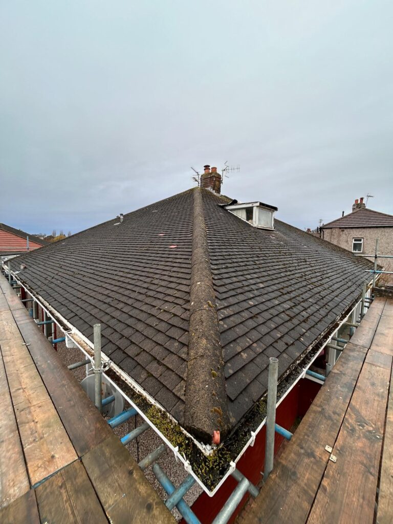 WhatsApp Image 2026-03-17 at 19.49